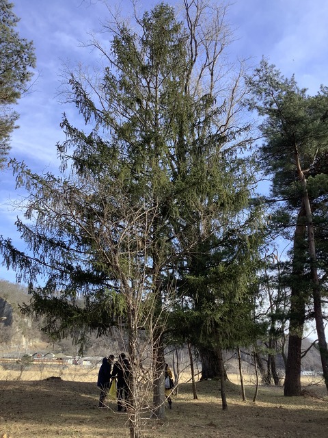 ED339568-0182-4811-BF49-D58C5C1FB849