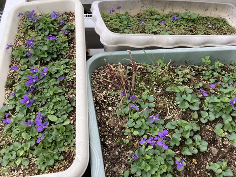 5FDA7993-0832-4364-91D1-093DEA0C4FF2