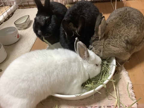 4619EEB5-8B28-404C-AD8D-5E2A91A78413