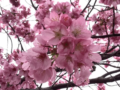 55BE6EFE-30D0-4956-AF0A-EFEA123AEE58