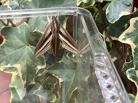 DD73441E-663F-445E-8D55-1443E7436131