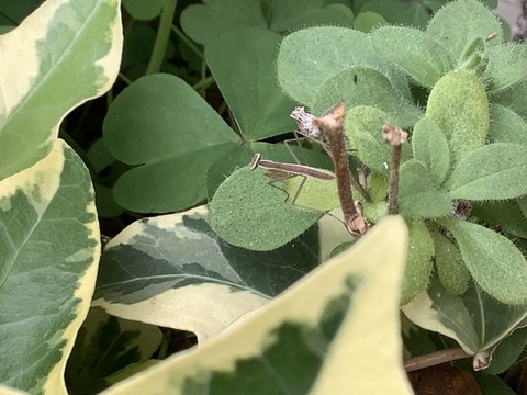 D4BC1DBE-548B-4DAD-A632-4264C0B56E3F