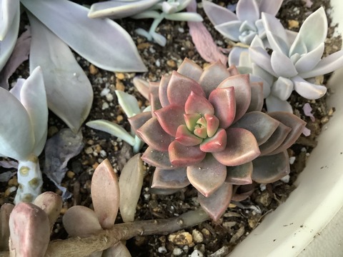 CAE9D072-5463-4FF1-89A6-61ADDC9C8E7C