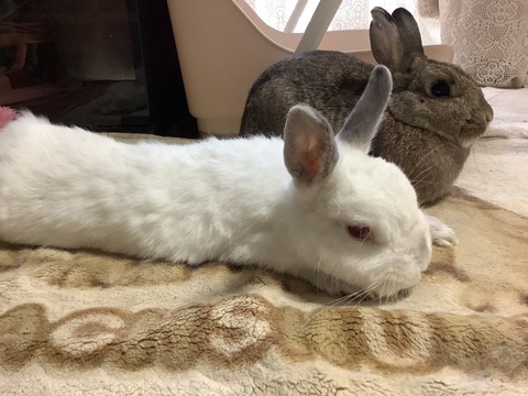 5BD26893-58DC-48B0-AD92-084C04DB9E25