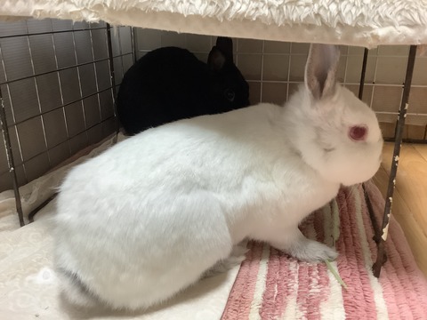 5B9F97BB-D619-495D-A117-7E5D41A16F8C