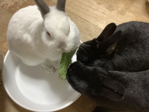 97CA6ADE-6169-4A31-B7EF-55046F6D98E1