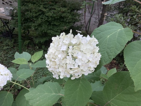 D269C053-74B7-4AE7-A935-F6DA92A2BC1E