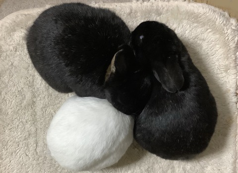 DED3AC17-DA6F-4DCC-9192-ABED34D42930