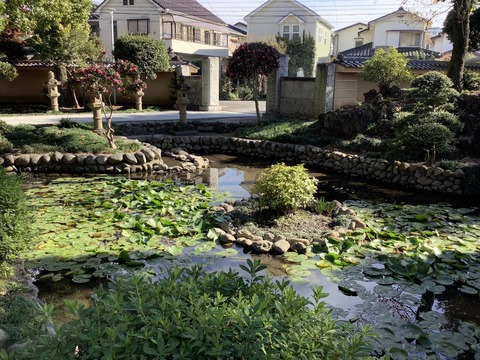 1805B054-D74C-47B4-913D-E2617C78B578