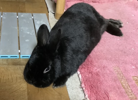 D246B913-380A-4F70-9E38-ADB5ECCDB49E