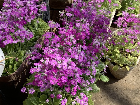 22C8A9B7-3EF6-473B-B3CB-266F4BBDD9CE