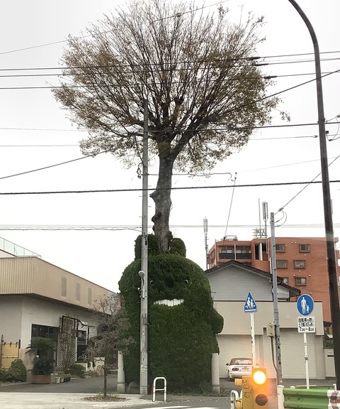 4FB60484-7BEE-4BB3-B077-08F85D5ED75B