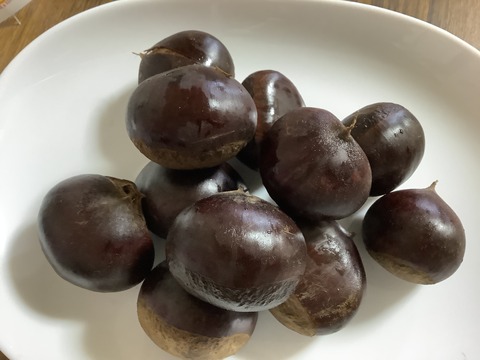 DA0C5D0F-40C0-41E9-BC9B-E8BB39235CEA