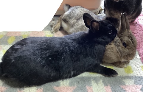 0F276B9F-1E52-46BD-90C6-ACAEB670BBC4