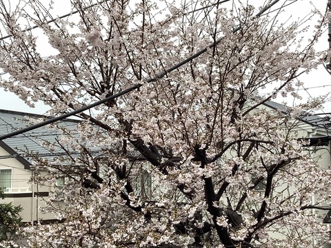 9D327528-2434-4987-AD08-7971559D7B00