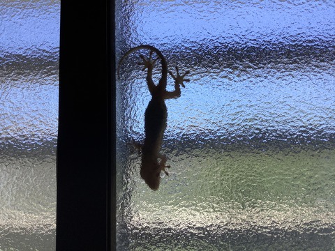 D8EF90CA-C5A7-4465-8AE6-FB05BD16A9EC