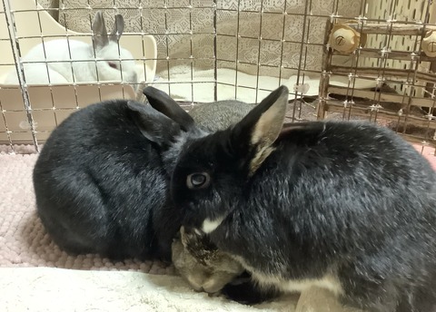 3D285A28-B622-4EB8-9FAE-0C554ECB5E6C