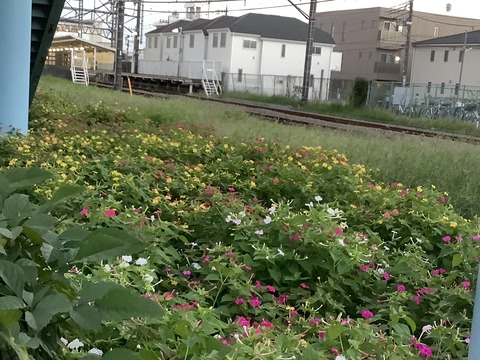 87727ED6-A3DA-495A-A606-327916471B7B