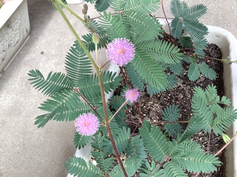 89C773A2-36DE-49C8-8768-C6FCC96A7276