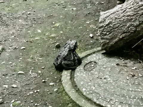 F154D4B4-D0EC-48DA-BFF2-3576D27ED79C