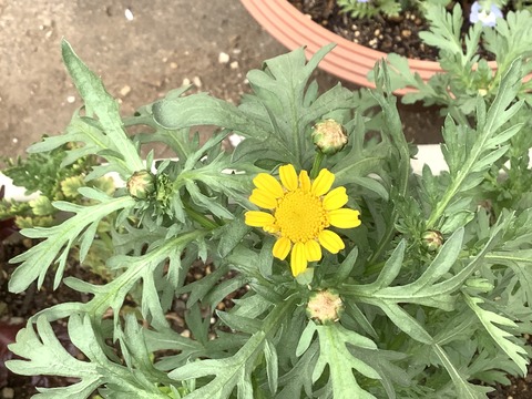 233EDB02-E896-4550-8661-3B14A592D89C