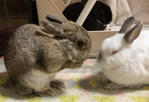 CE01B236-7179-452F-BEED-93083564D7ED