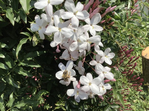 06665487-DAC0-40A3-8B71-5DC8385480B8