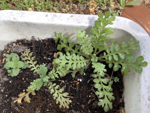 4474B43D-E45F-4362-B7AA-3FD29179E6F9