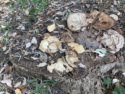 22E633FC-D735-4BCE-AE9C-C40320F306EB