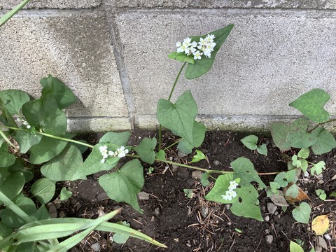 9C824B68-E301-43D8-A4F8-0C237D4174A4