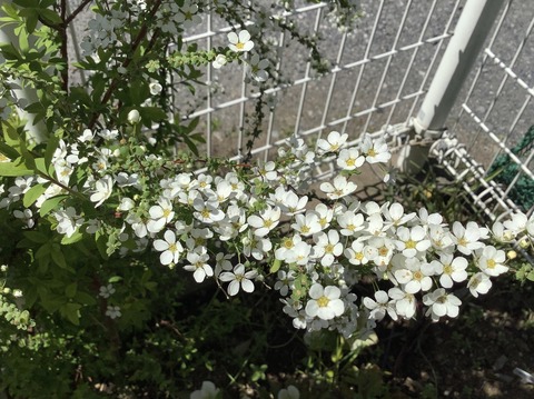 054AC9A7-3481-42A3-93AB-488BD71E17E1