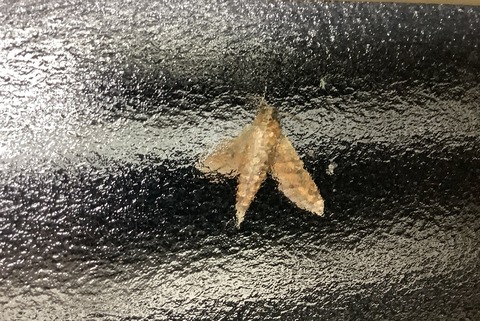 42D84A72-EAE9-4CFF-B68D-22B2EED2179A