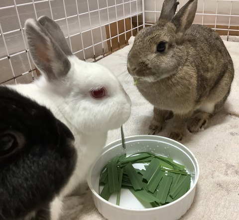 57642728-F7CC-47F1-B343-8C9911ADA664