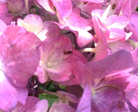 C87CDAE1-CF8D-481F-B6FC-7BFFF53298B1