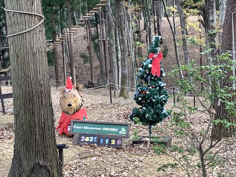 D5175CEF-20BC-40A4-BF6D-7F279C47CB3D