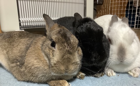 DC29E798-F923-43E5-85E8-5FE4AB891A8C