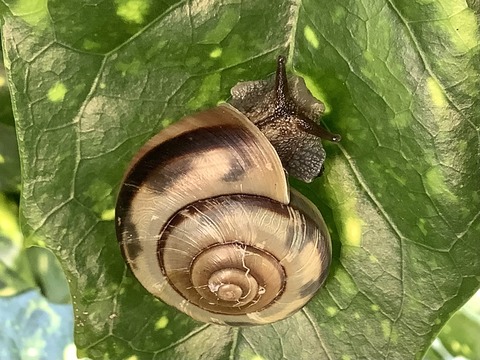 AE039FDE-8BD1-4E66-9F40-1C5E7C3358AA