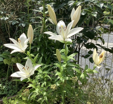 A466D7A8-7109-4B93-A71C-0913E128DBB0