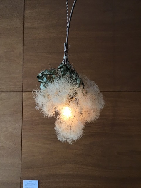 1EF7FB97-DFD7-4616-817A-76577DEBF36C