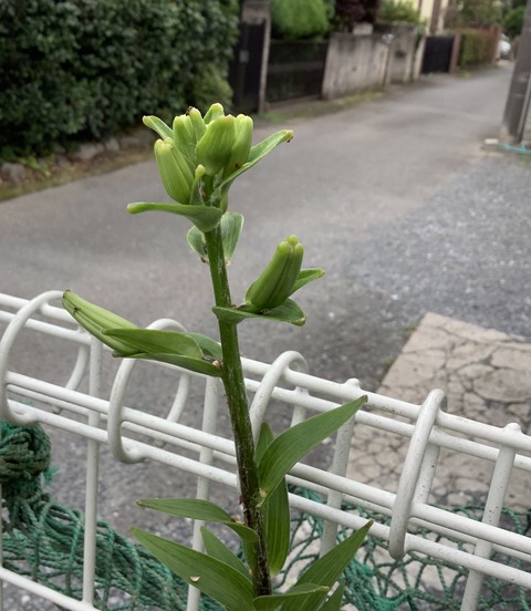 F0D7298F-FFA1-4CC7-ABFD-137789391242