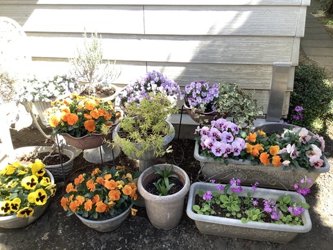 AE251683-D0EE-4859-8F96-FC39F7ED16BD