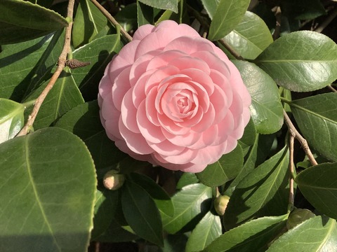 F8E72D85-06DD-4494-A9DE-FD863AF459E7