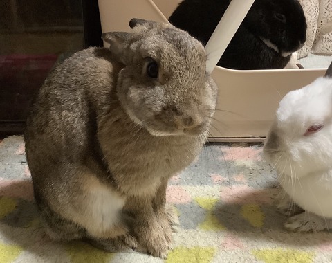 3E133120-6CBA-4E8F-BA27-60AB8118D051