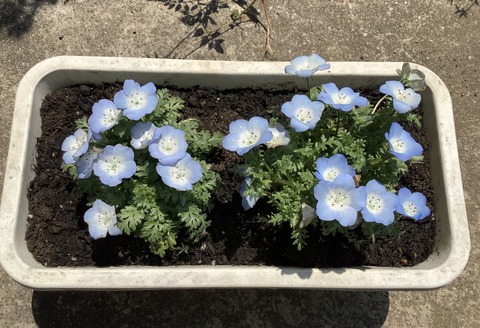 87E9C697-8859-4E12-BE6B-BA97D5EBBAAA