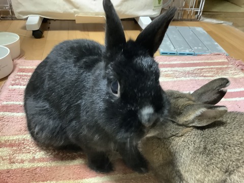 BE39978C-D2B3-4605-9E40-EFC89BF61144