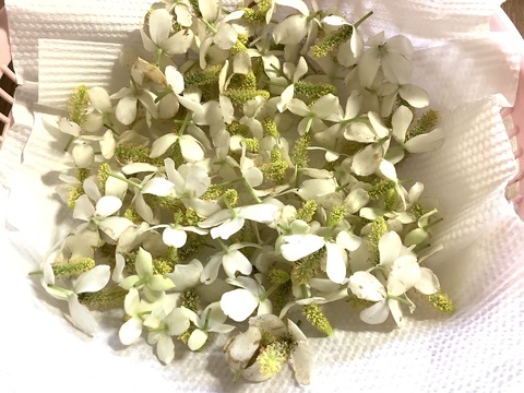 6337C9F9-60DD-454B-BB98-3D25CBFC3491