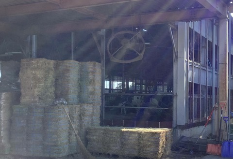 104A4E7A-985A-4D3F-96AA-7DA08BAC8259