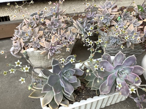 6715DC42-4AB2-4647-BDF1-D6400894385B