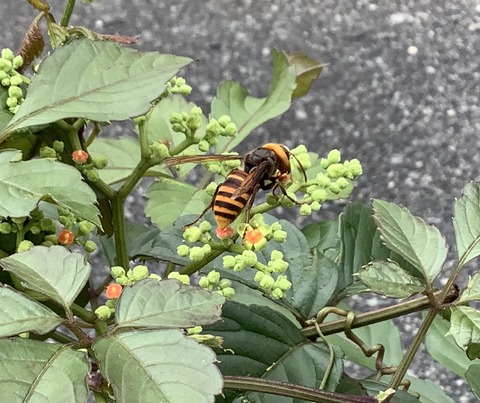 67075926-BD90-4B10-98AF-FFFB531272BF