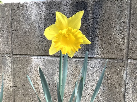 BA280F17-B46D-42E9-8606-9072E5DB789E